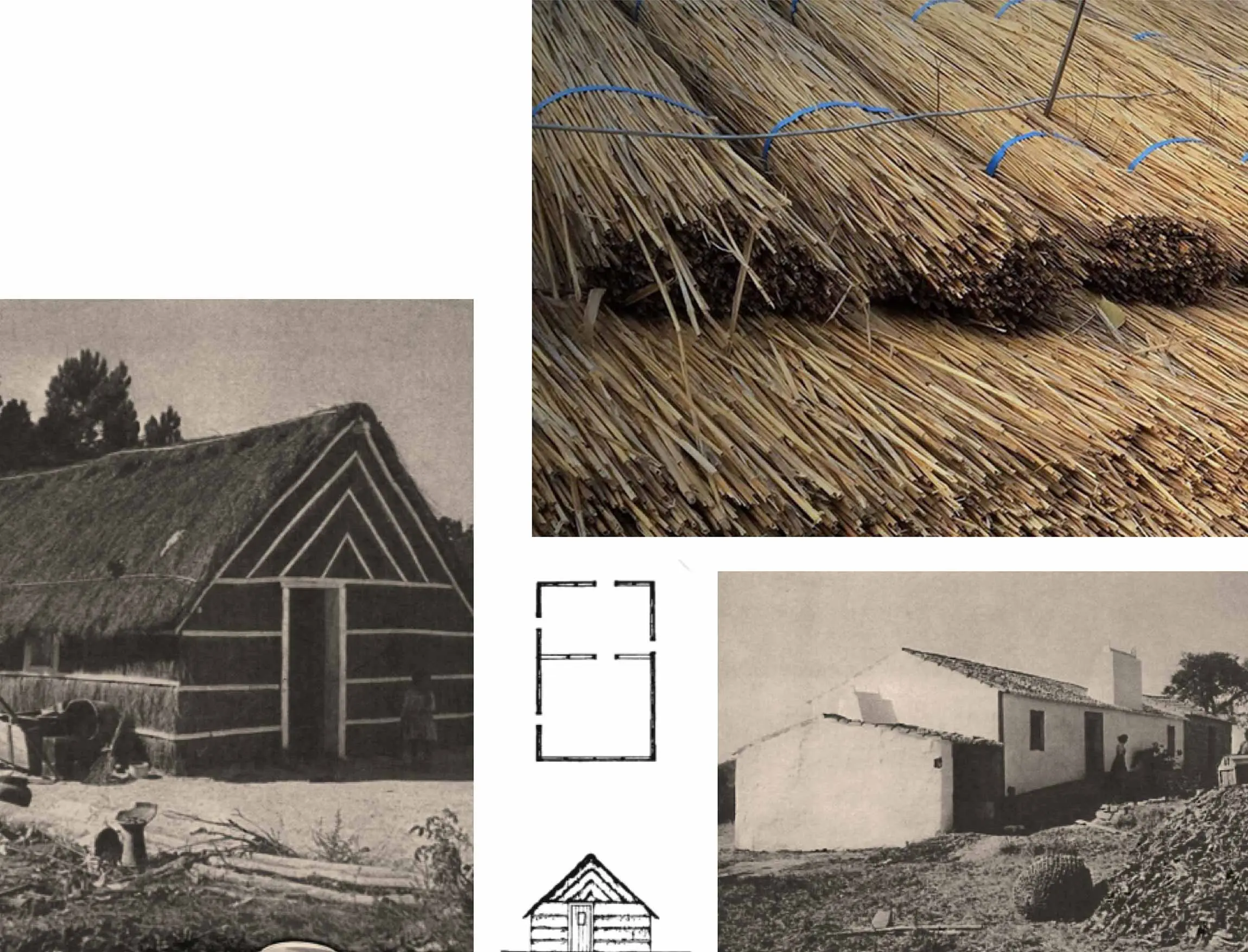 Palafita House . Comporta . Portugal — projeto de arquitetura do atelier Joana Aranha em Comporta (2/8)